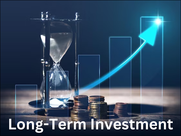 Long-Term Investment 